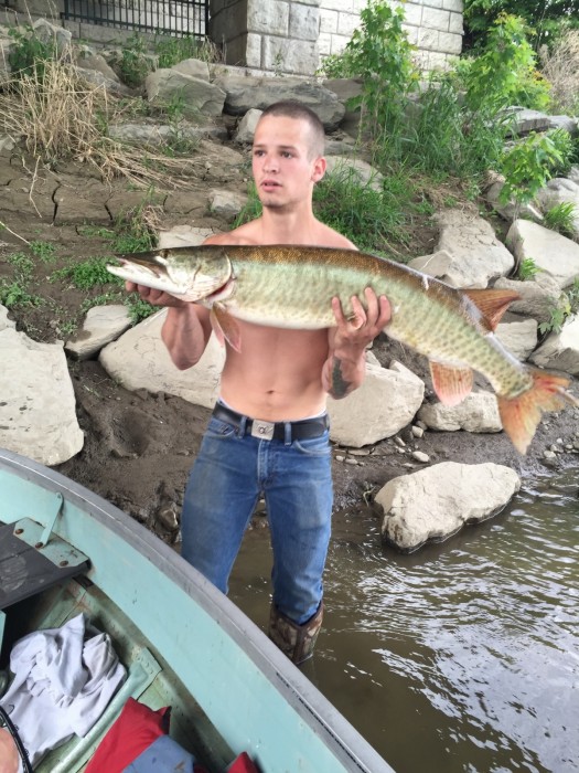 Photo of Musky Caught by Kody with Mepps Musky Marabou in United States