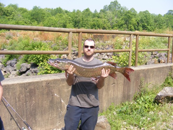 Photo of Musky Caught by John with Mepps Musky Killer in Ohio