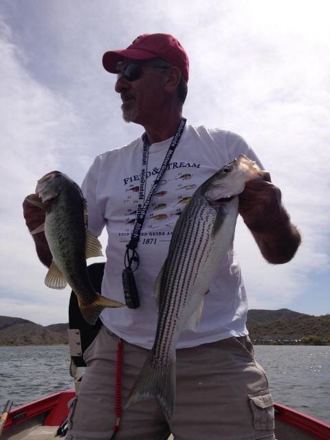 Photo of Bass Caught by Tom  with Mepps Comet Mino in Arizona