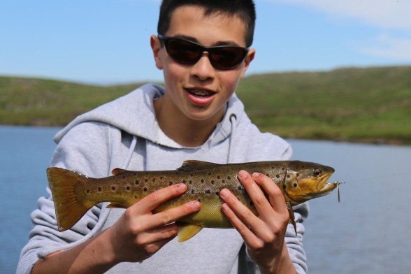 Photo of Trout Caught by Daniel  with Mepps  in Ireland