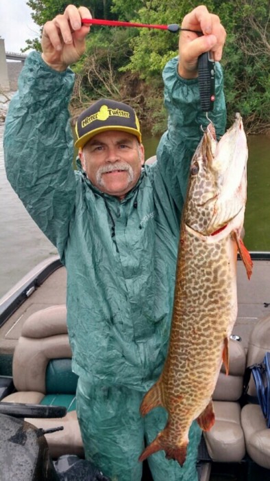 Photo of Tiger Musky Caught by Michael with Mepps Aglia & Dressed Aglia in Pennsylvania