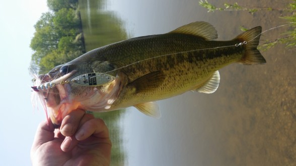 Photo of Bass Caught by Joe with Mepps Aglia Long in Michigan