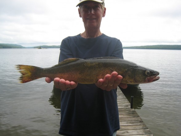 Photo of Walleye Caught by Cindi with Mepps Aglia & Dressed Aglia in Ontario