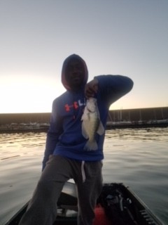 Photo of Crappie Caught by Chris with Mepps Trolling Rig in United States