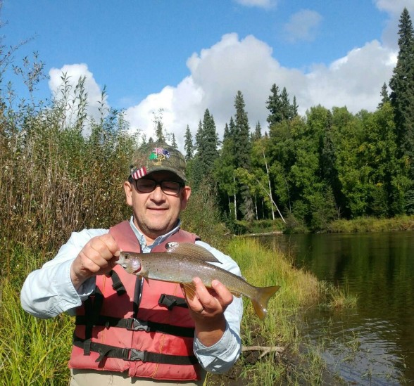 Photo of Grayling Caught by Mark W with Mepps Syclops in Alaska