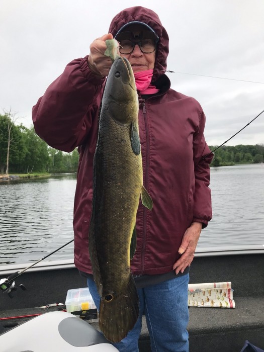 Photo of Bowfin Caught by Linda with Mepps Comet Mino in Wisconsin