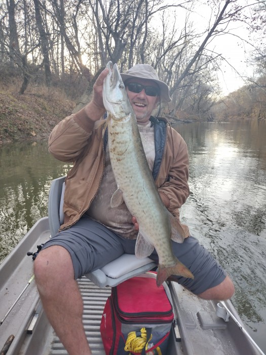 Photo of Musky Caught by Matthew with Mepps Musky Killer in Kentucky