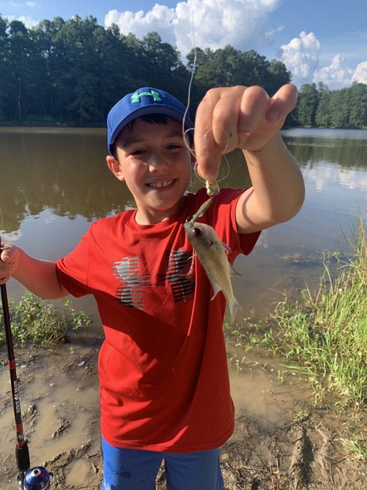 Photo of Bluegill Caught by Cameron with Mepps Comet Mino in North Carolina