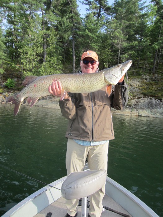 Photo of Musky Caught by Scott with Mepps Aglia & Dressed Aglia in Ontario