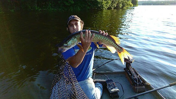 Photo of Tiger Muskie Caught by Clint with Mepps Aglia & Dressed Aglia in Pennsylvania
