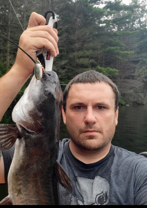 Photo of Catfish Caught by Matthew with Mepps Aglia & Dressed Aglia in Pennsylvania