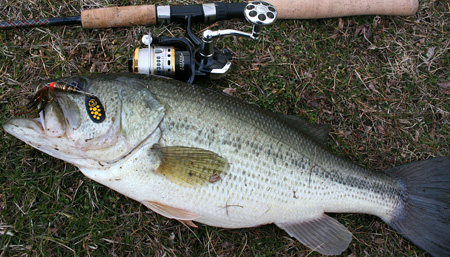 Bass caught on Black Fury