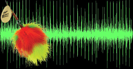 Waveforms of the sounds produced by the Musky Marabou