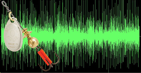 Waveforms of the sounds produced by the Aglia #0 (Spin Fly)