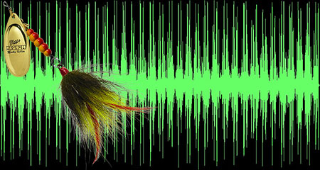Waveforms of the sounds produced by the Magnum Musky Killer