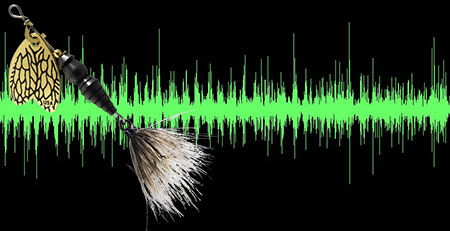 Waveforms of the sounds produced by the Thunder Bug #2
