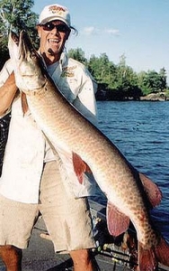 Massive Musky