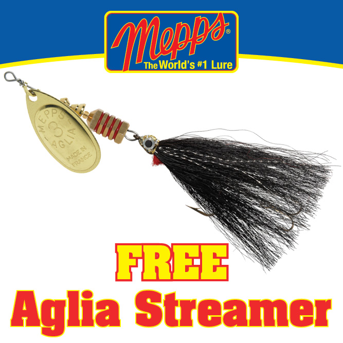 Aglia Streamer Web Special