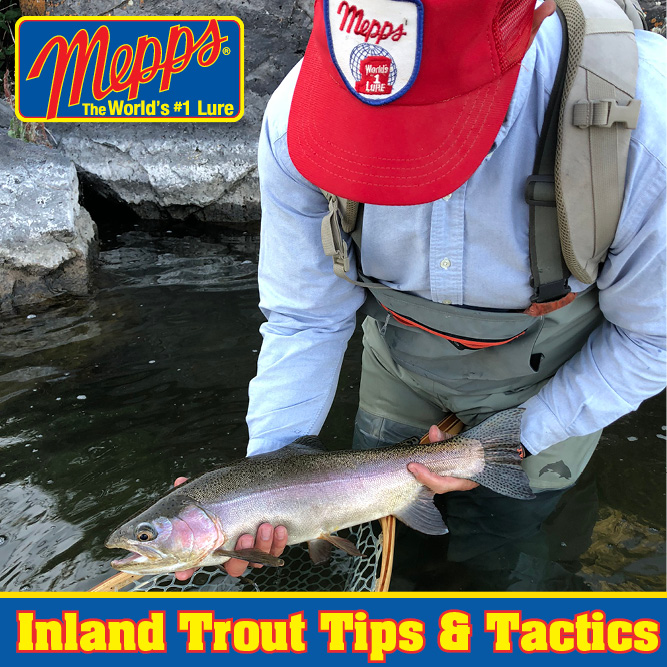 Inland Trout