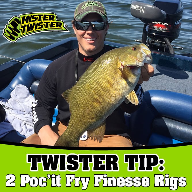 Pocit Fry Finesse Rigs