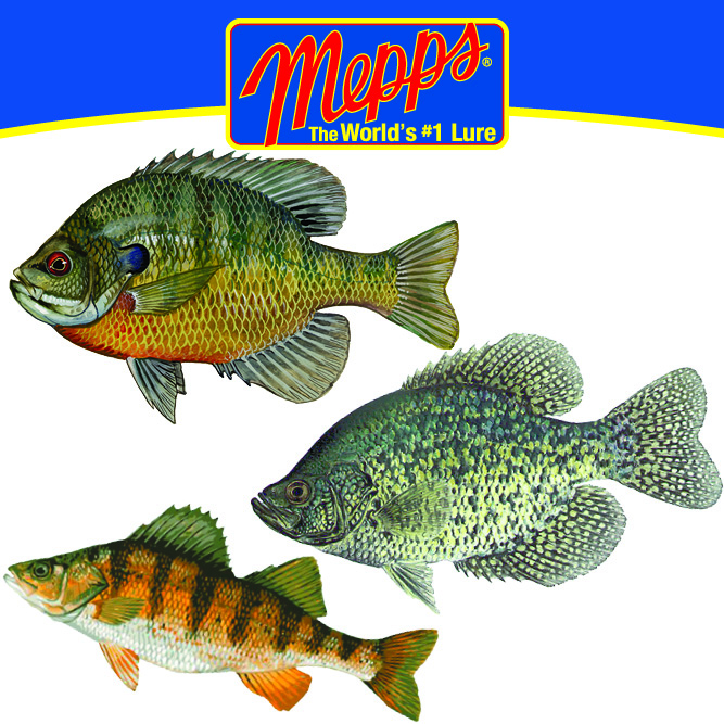 Mepps for Panfish
