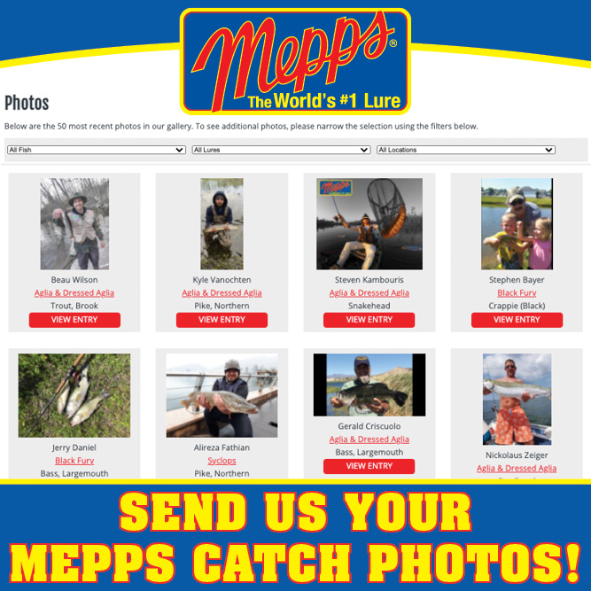 Mepps Photo Gallery