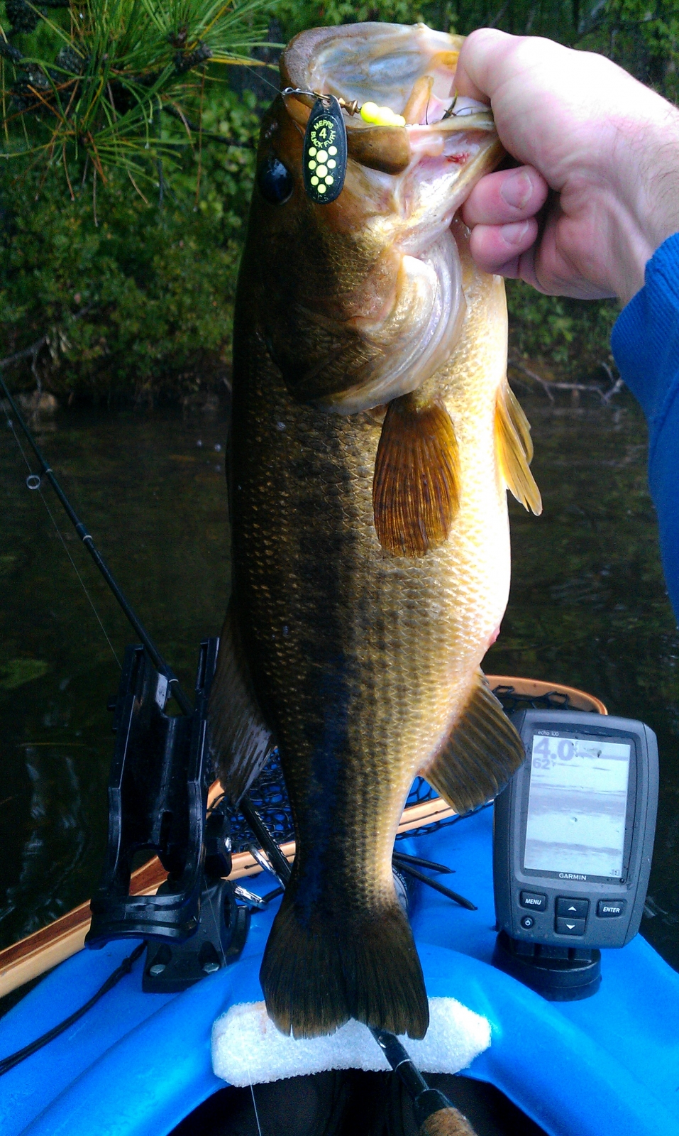 Bass Caught by Ryan with Mepps Black Fury in Maine