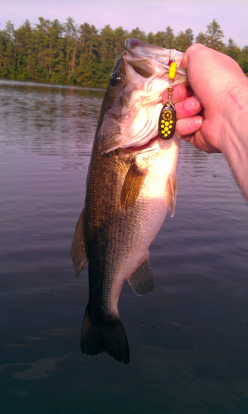 Bass Caught by Ryan with Mepps Black Fury in Maine