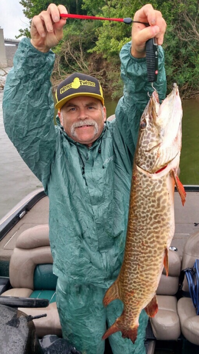 Tiger Musky Caught by Michael with Mepps Aglia & Dressed Aglia in  Pennsylvania