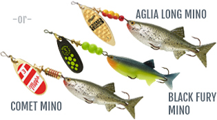 Aglia & Dressed Aglia Fishing Lure