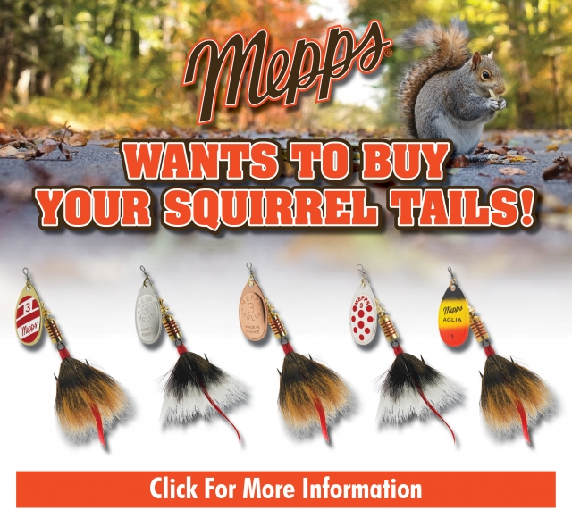 Mepps Fishing Spinners and Spoons - Shop Now!