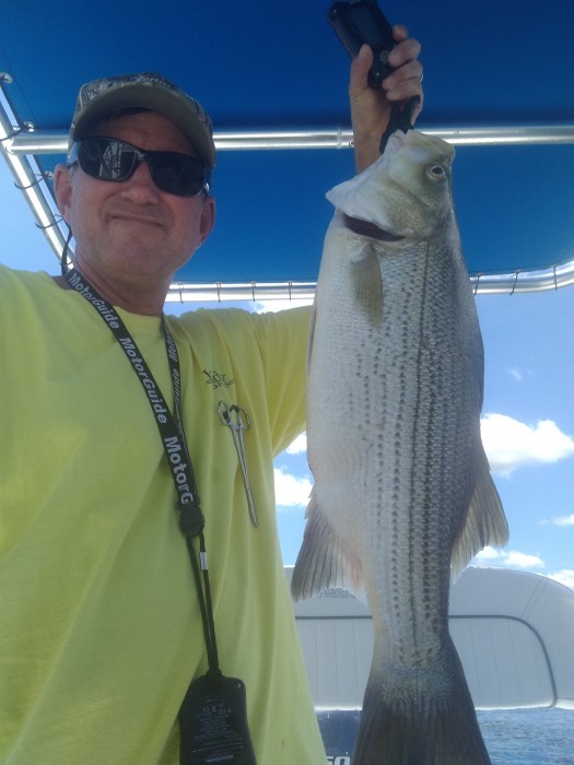 Hybrid Bass Striperd/white Caught by Paul with Mepps Trophy Series in Texas