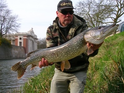 Pike Caught by Ivan with Mepps Aglia & Dressed Aglia in Belgium