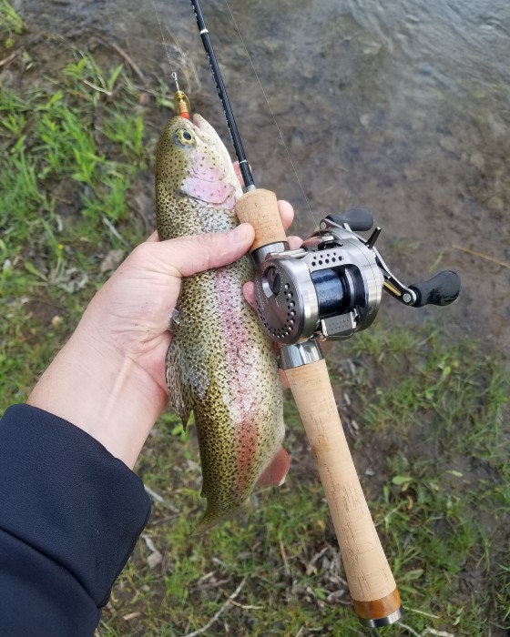 Trout Caught by Cole with Mepps Comet TRU-V in Montana