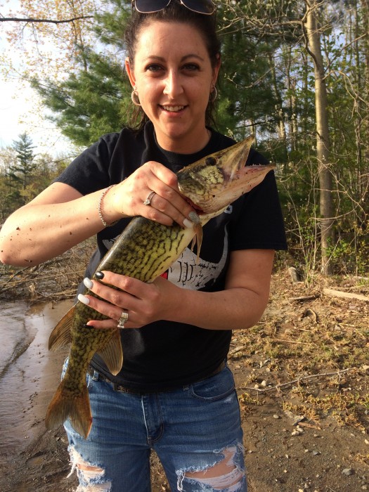 Pickerel Caught by Jessica with Mepps Comet Mino in New York