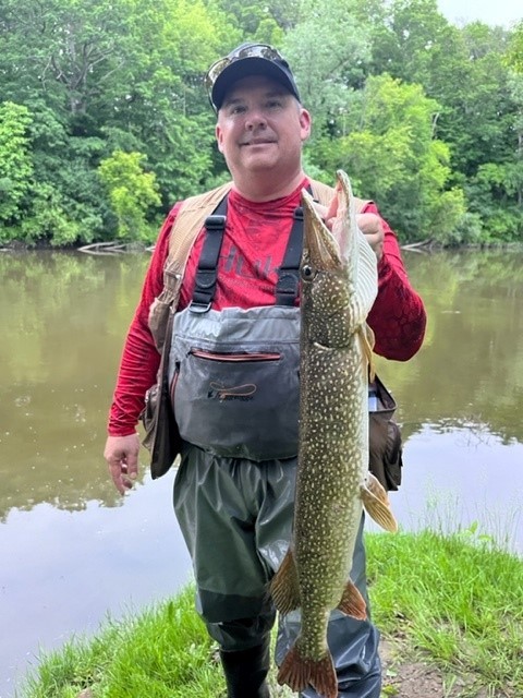 Pike Caught by Jason with Mepps Bronze Slammer in Michigan