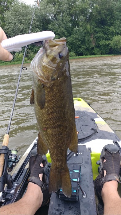 Photo of Bass Caught by Kevin with Mepps Aglia & Dressed Aglia in Pennsylvania