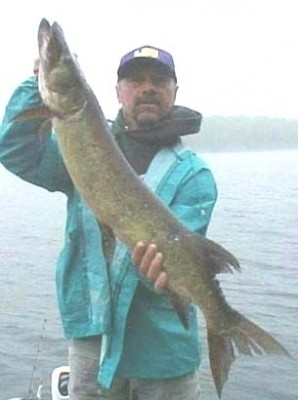 Photo of Musky Caught by Robert with Mepps  in Ohio