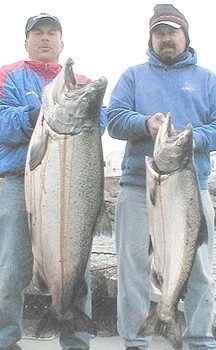 Photo of Salmon Caught by Dave with Mepps Aglia & Dressed Aglia in Oregon
