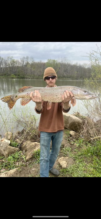 Photo of Pike Caught by Tristan with Mepps Aglia & Dressed Aglia in Ohio