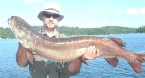 Photo of Musky Caught by Galen with Mepps Giant Killer in Minnesota
