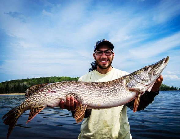 Photo of Pike Caught by Michael with Mepps Aglia & Dressed Aglia in Canada