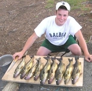 Photo of Walleye Caught by Alex with Mepps Aglia & Dressed Aglia in Michigan