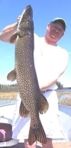 Photo of Pike Caught by Kevin with Mepps  in Iowa