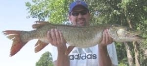 Photo of Musky Caught by Dan with Mepps Giant Killer in Minnesota