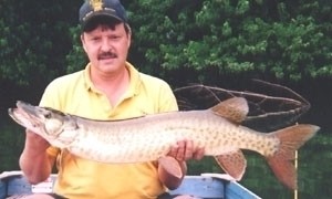 Photo of Musky Caught by Steve with Mepps Aglia & Dressed Aglia in Pennsylvania
