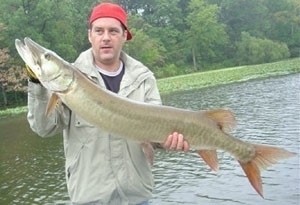 Photo of Musky Caught by Dave with Mepps Musky Killer in Illinois
