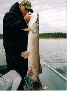Photo of Pike Caught by Keane with Mepps  in Minnesota