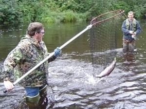 Photo of Salmon Caught by Vern with Mepps Aglia & Dressed Aglia in Utah