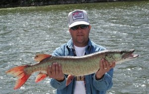 Photo of Musky Caught by Ray with Mepps Aglia & Dressed Aglia in Florida